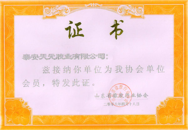 榮譽證書